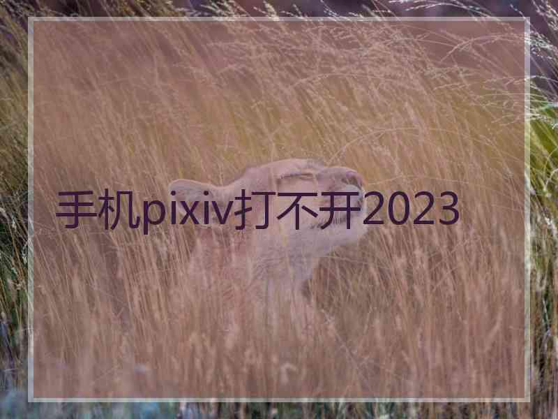 手机pixiv打不开2023