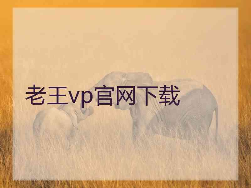 老王vp官网下载