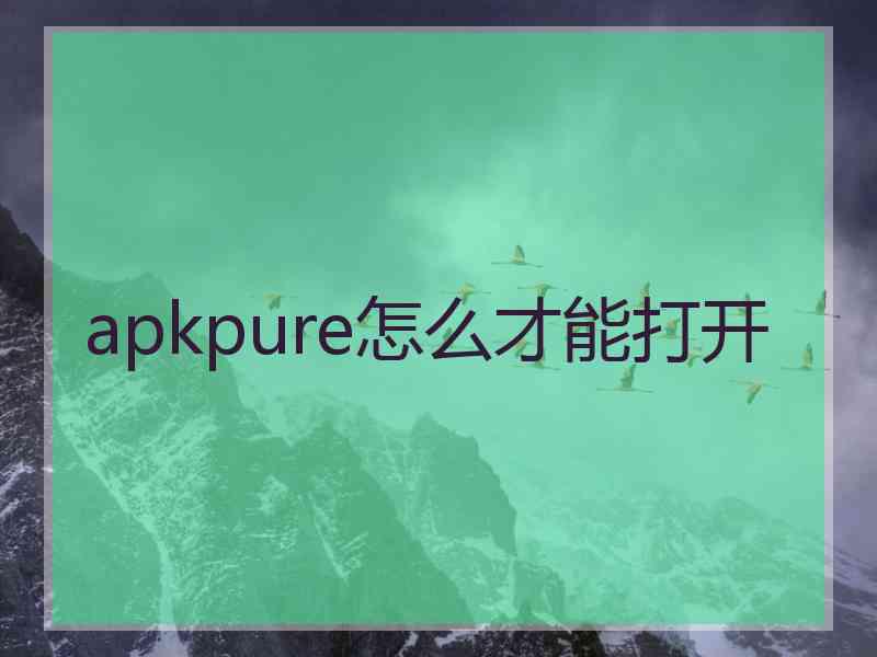 apkpure怎么才能打开