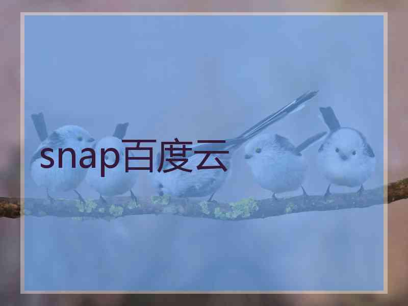 snap百度云