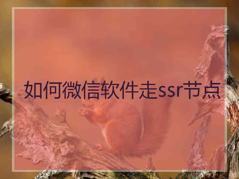 如何微信软件走ssr节点