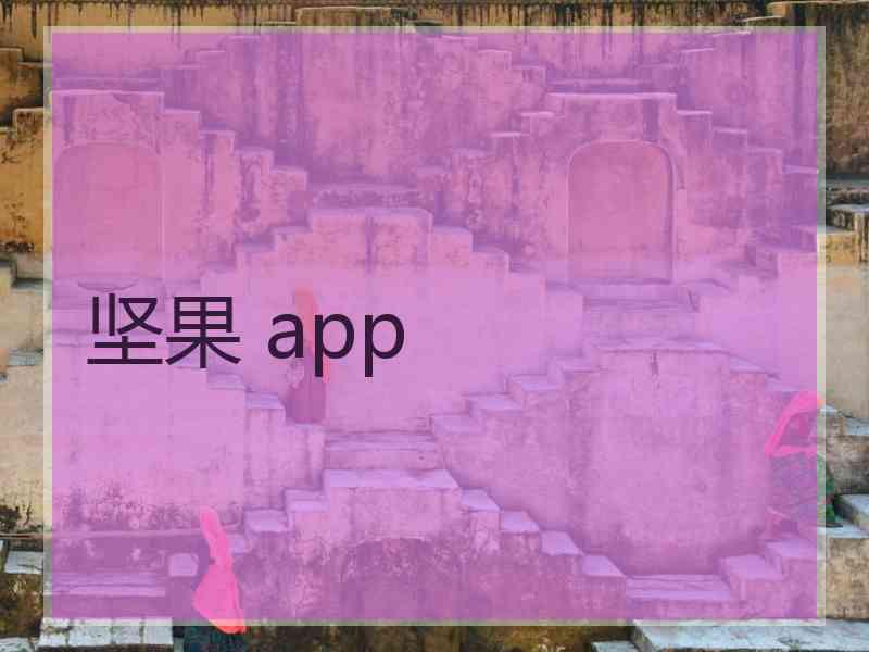 坚果 app