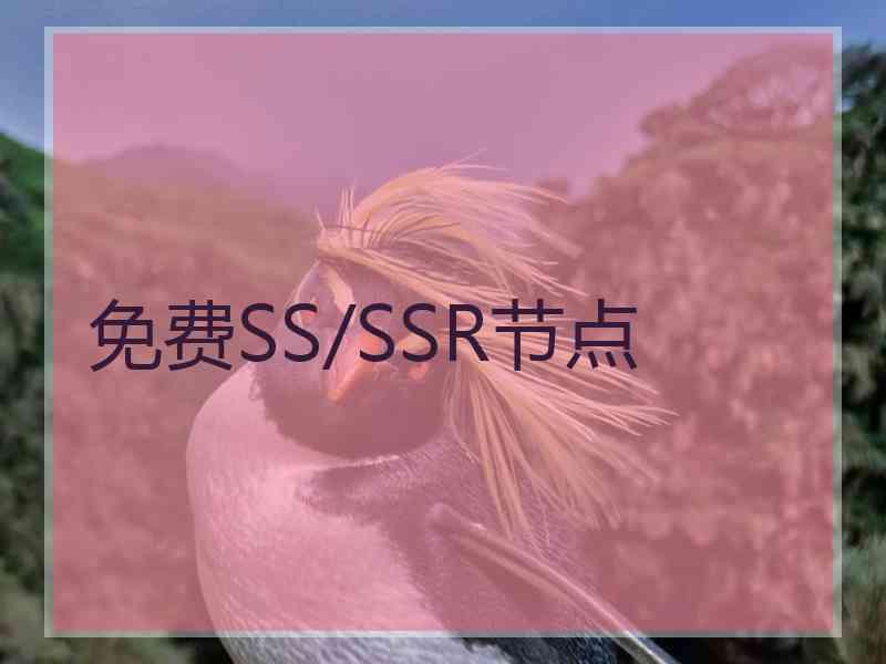 免费SS/SSR节点