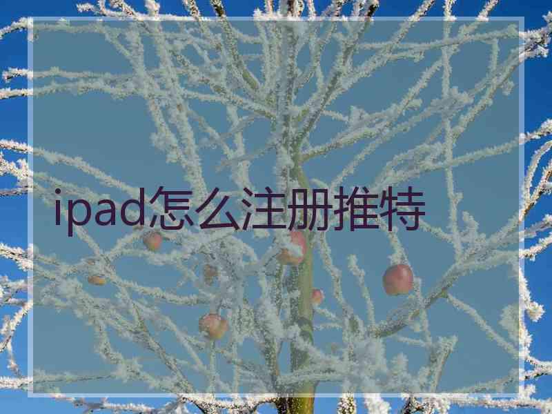 ipad怎么注册推特