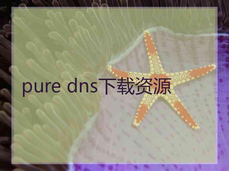 pure dns下载资源