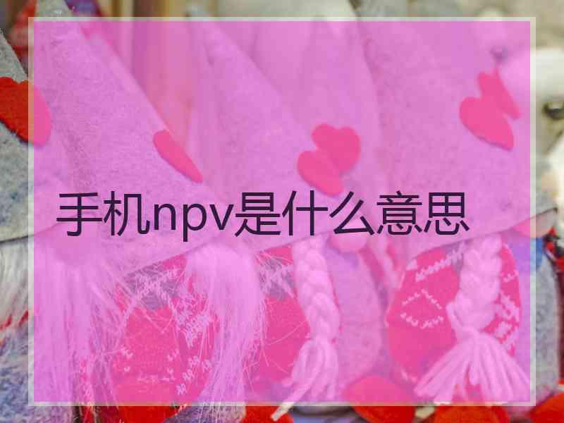 手机npv是什么意思