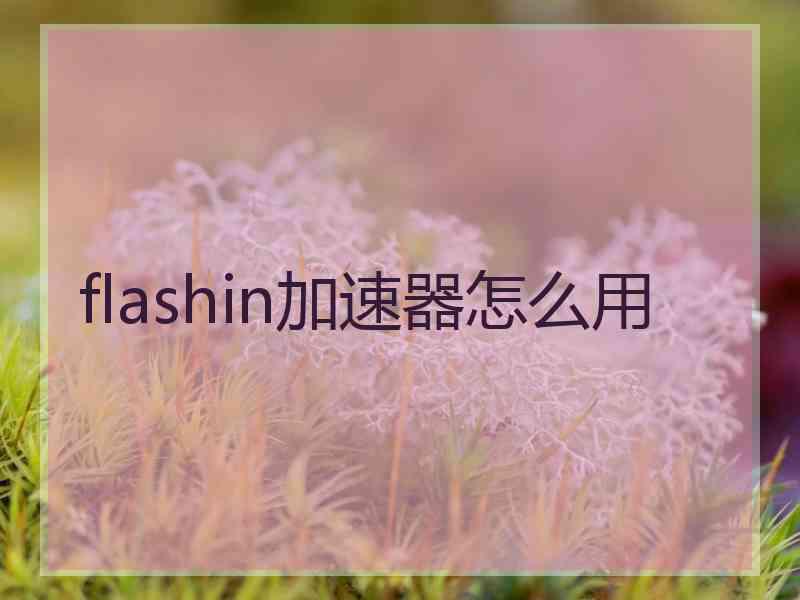 flashin加速器怎么用