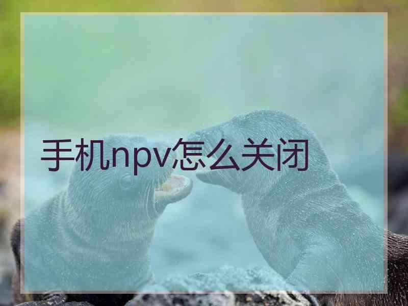 手机npv怎么关闭