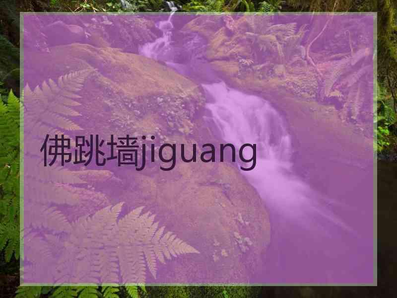 佛跳墙jiguang