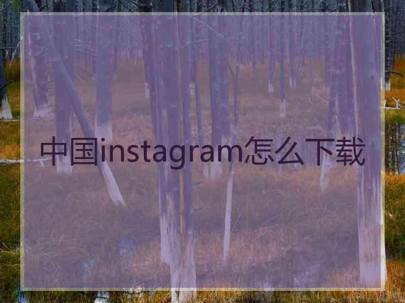 中国instagram怎么下载