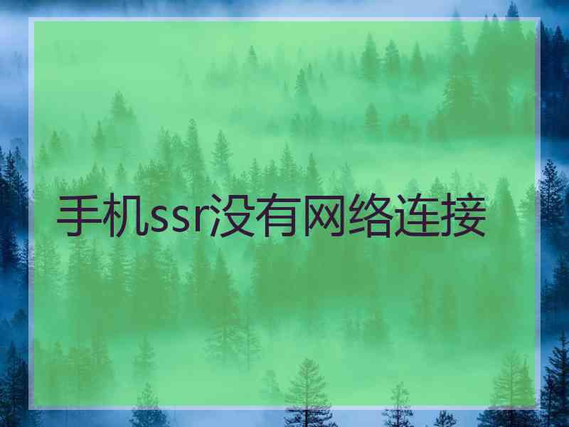 手机ssr没有网络连接