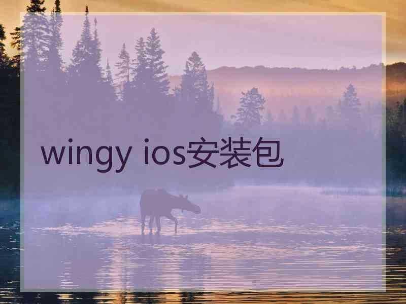 wingy ios安装包