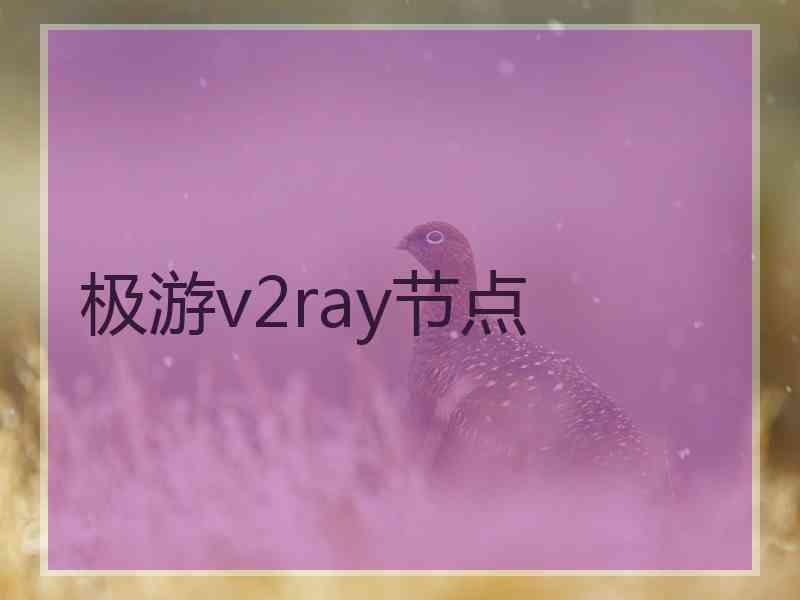 极游v2ray节点