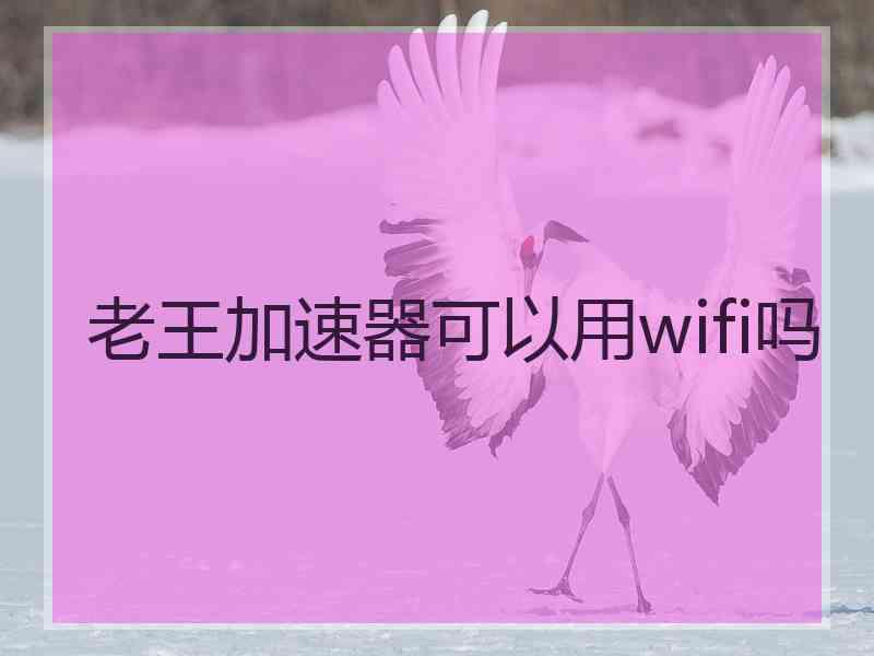 老王加速器可以用wifi吗