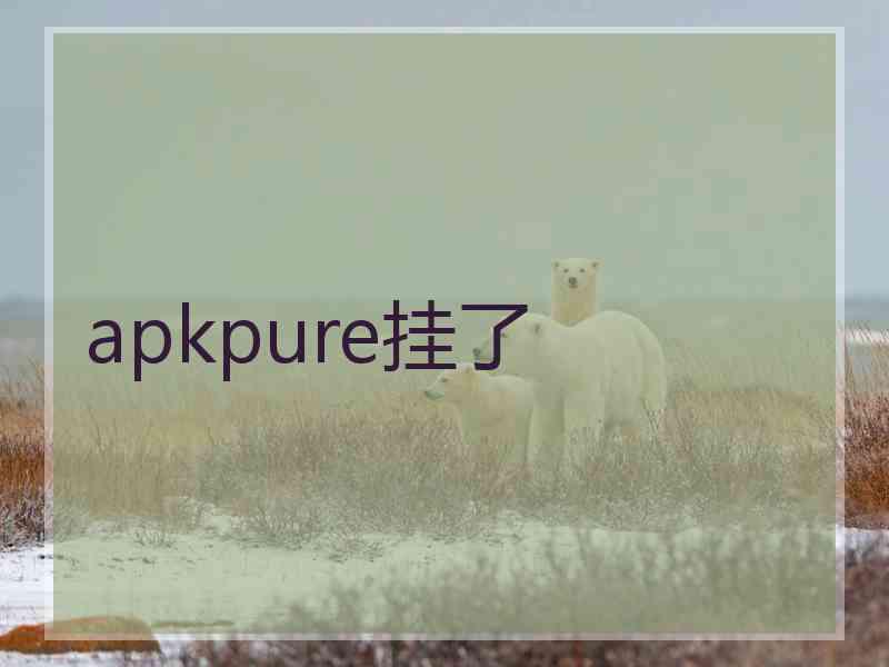 apkpure挂了