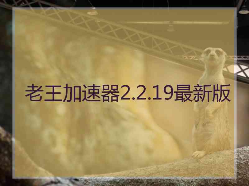 老王加速器2.2.19最新版