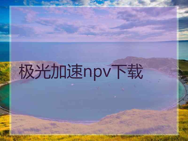 极光加速npv下载