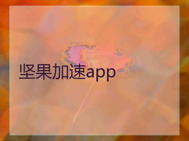 坚果加速app