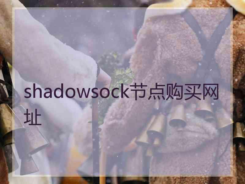 shadowsock节点购买网址