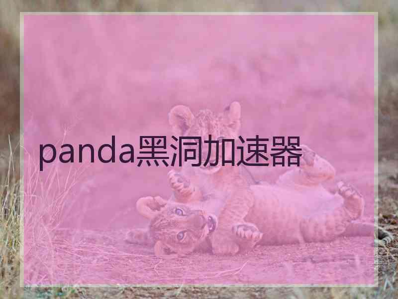 panda黑洞加速器