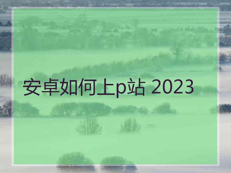 安卓如何上p站 2023