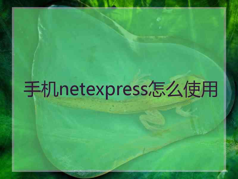 手机netexpress怎么使用