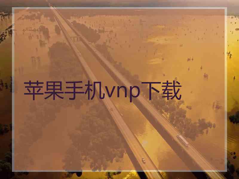 苹果手机vnp下载