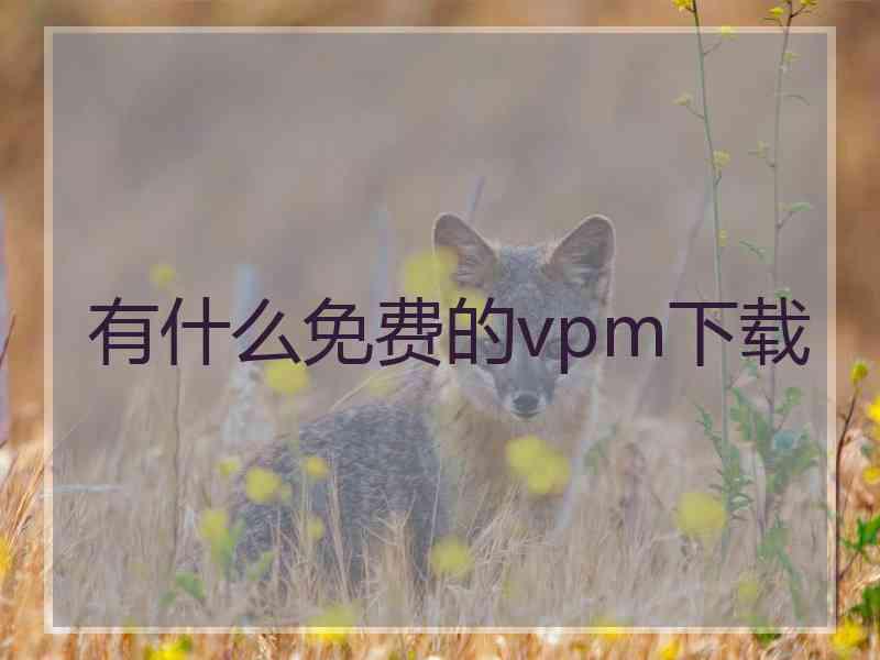 有什么免费的vpm下载