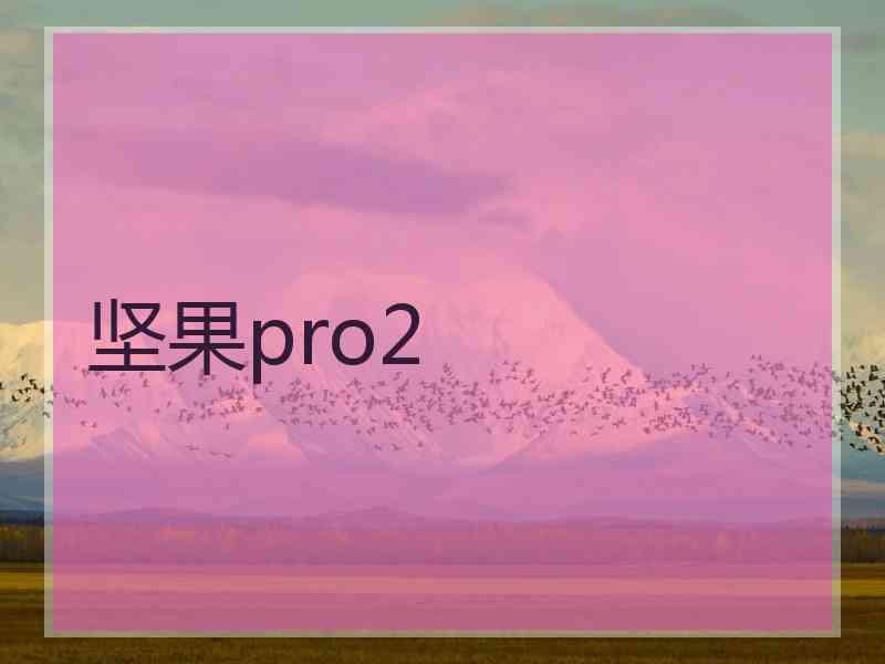 坚果pro2