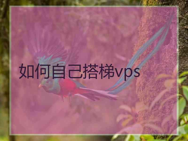 如何自己搭梯vps