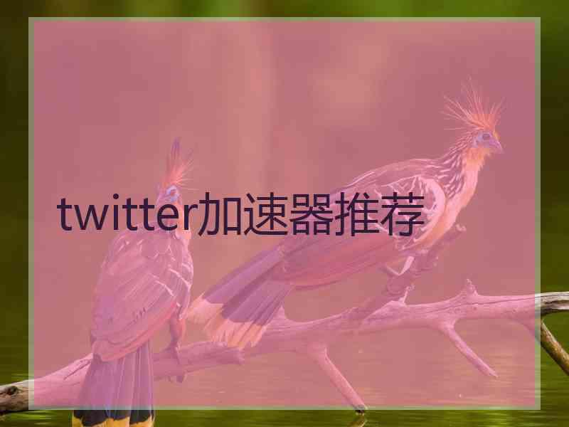 twitter加速器推荐