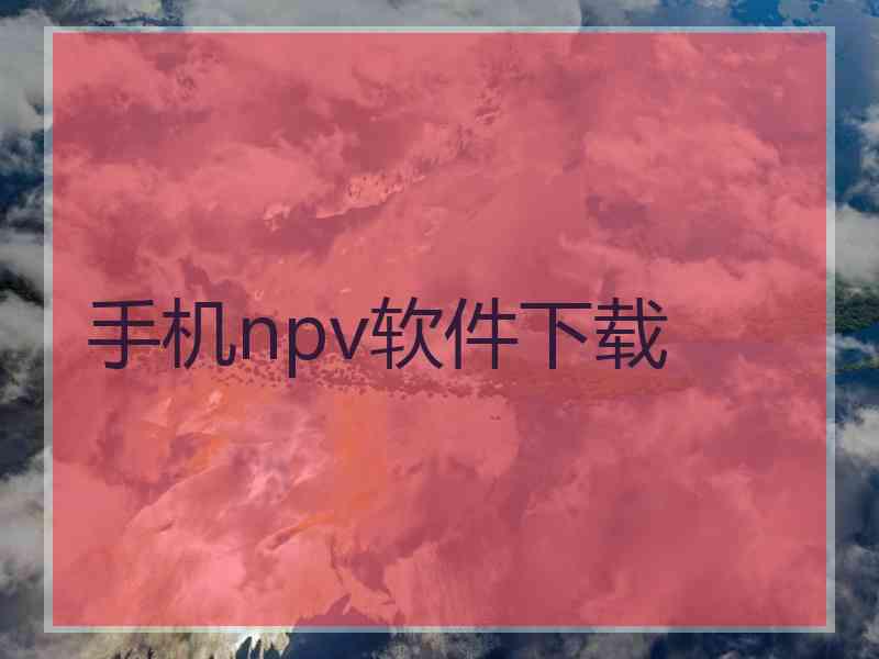 手机npv软件下载