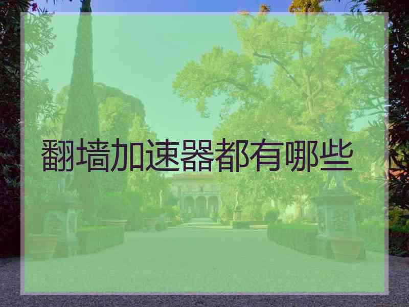 翻墙加速器都有哪些