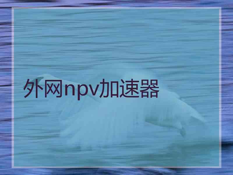 外网npv加速器