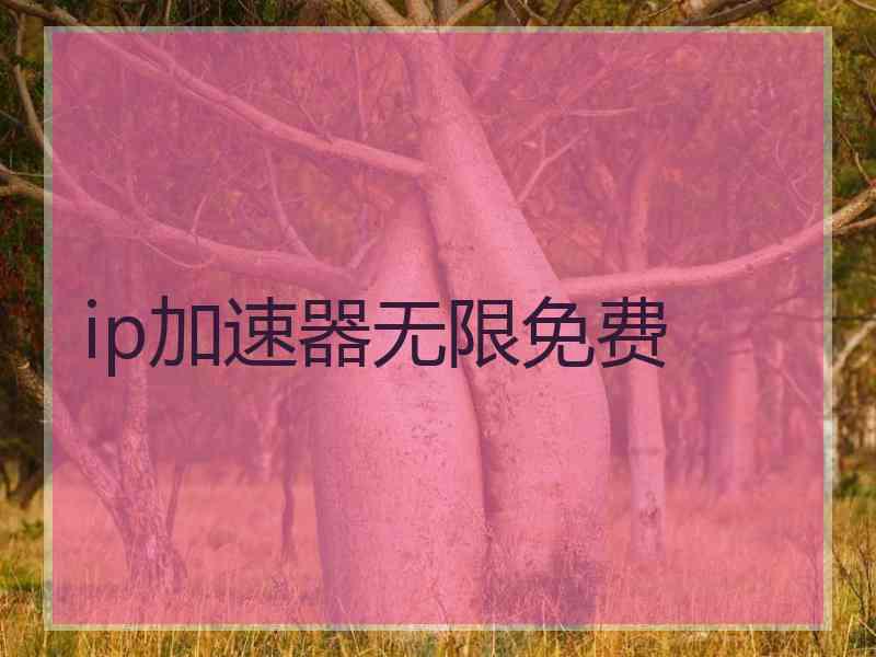 ip加速器无限免费