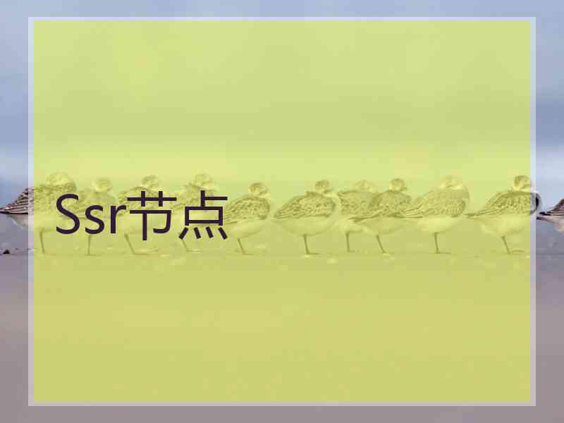 Ssr节点