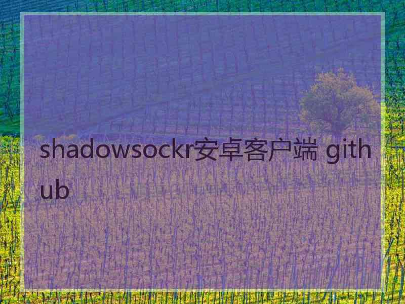 shadowsockr安卓客户端 github