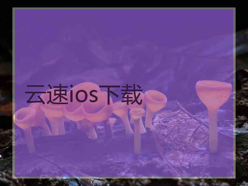 云速ios下载