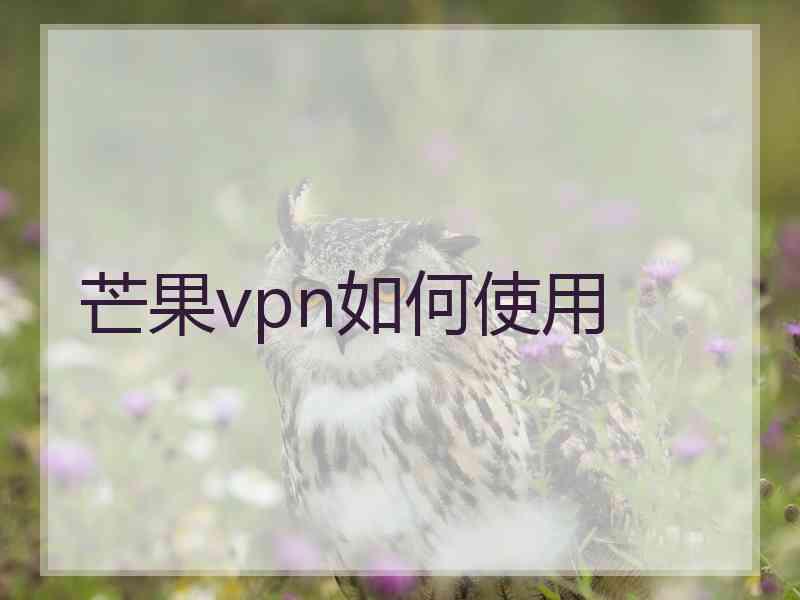 芒果vpn如何使用