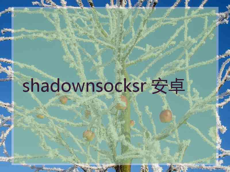 shadownsocksr 安卓