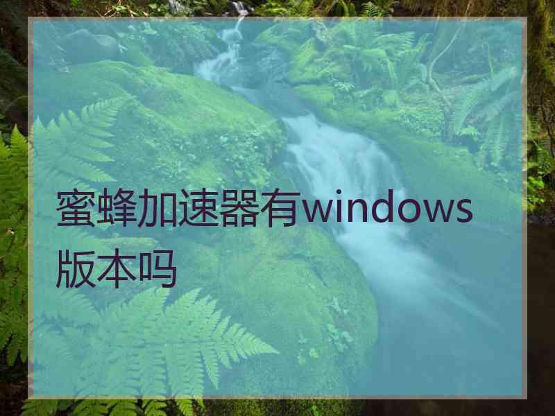 蜜蜂加速器有windows版本吗