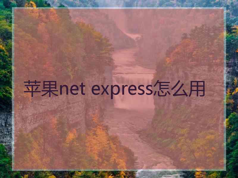 苹果net express怎么用