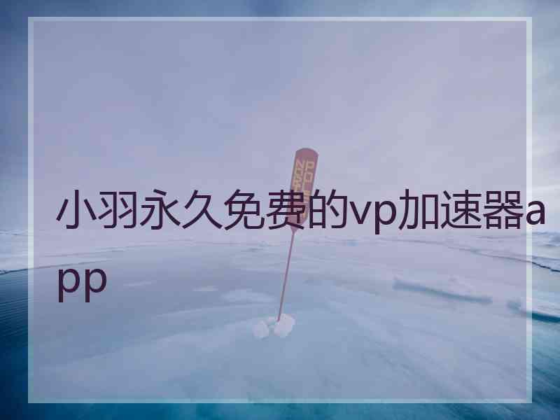 小羽永久免费的vp加速器app