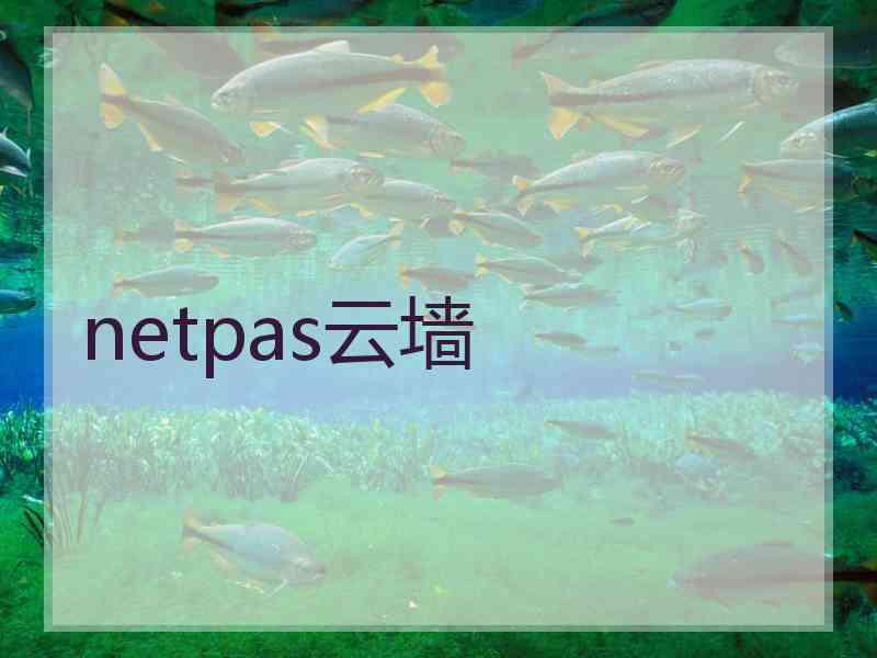 netpas云墙