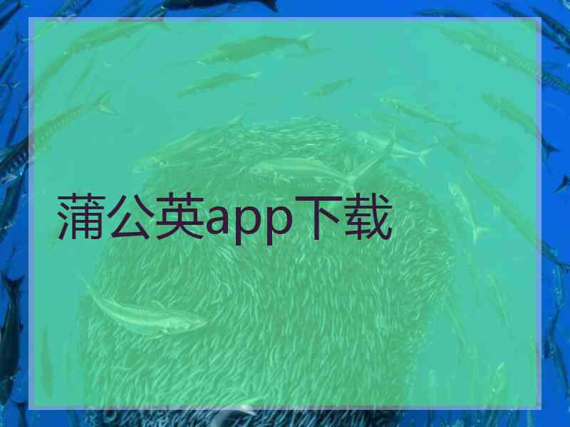 蒲公英app下载