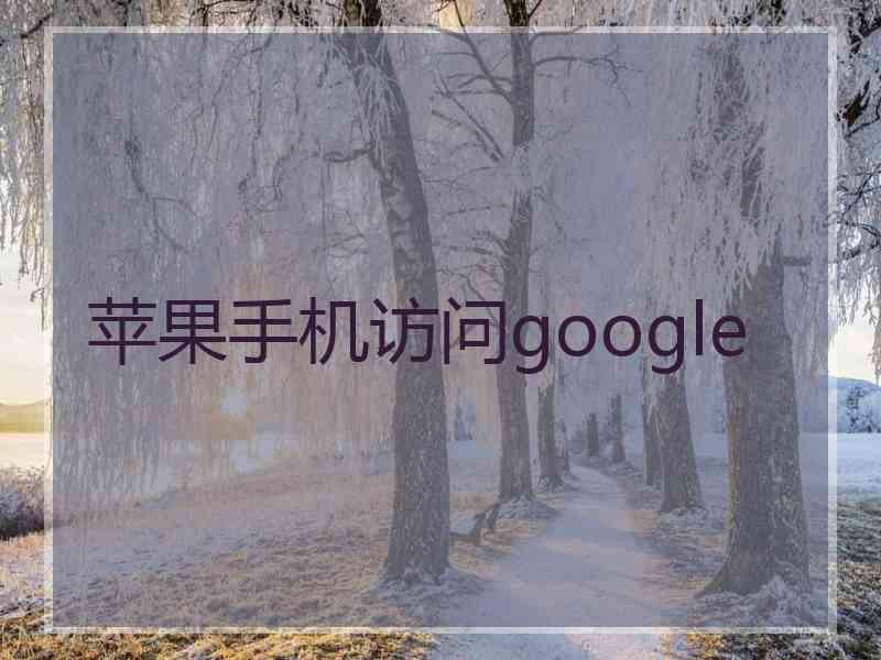 苹果手机访问google