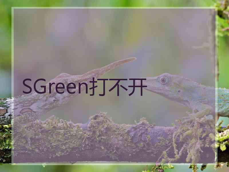 SGreen打不开