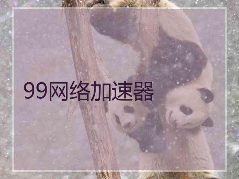 99网络加速器