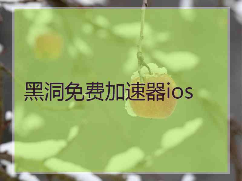 黑洞免费加速器ios