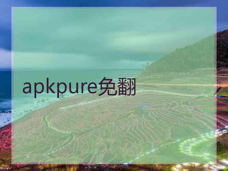 apkpure免翻